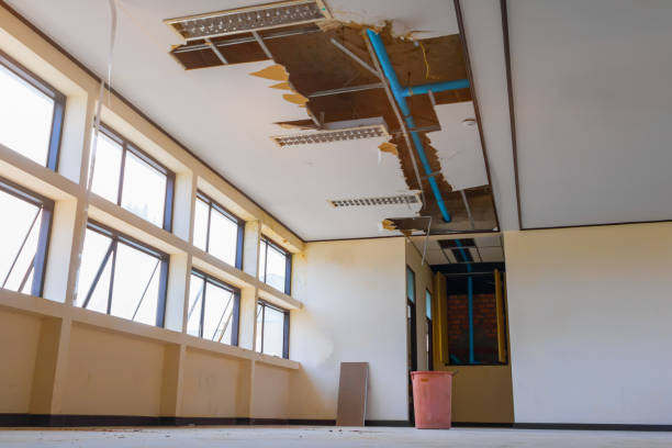 Best Commercial water damage restoration  in Minooka, IL