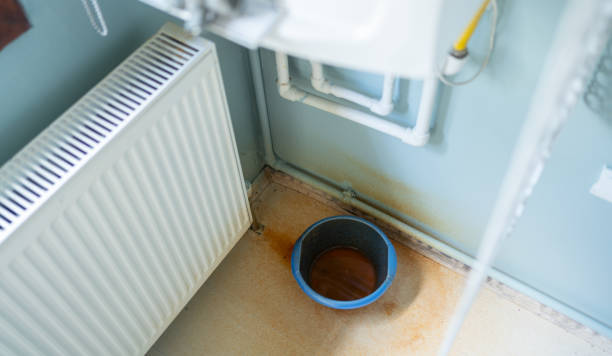 Best Flood damage cleanup  in Minooka, IL