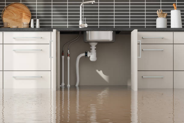 Best Flood damage cleanup  in Minooka, IL