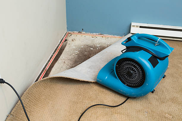 Best Water damage restoration near me  in Minooka, IL